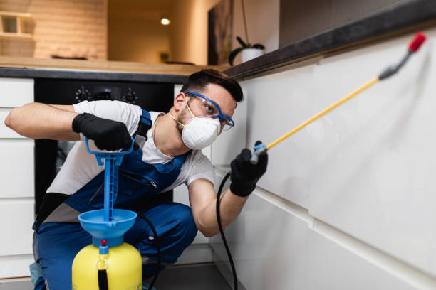 Best Pest Removal Services  in Lee Acres, NM