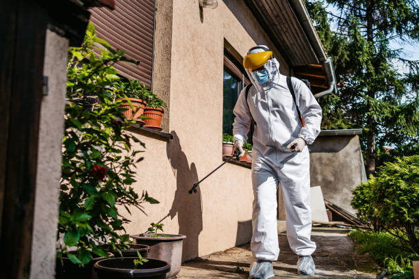 Best Mosquito Control Services  in Lee Acres, NM