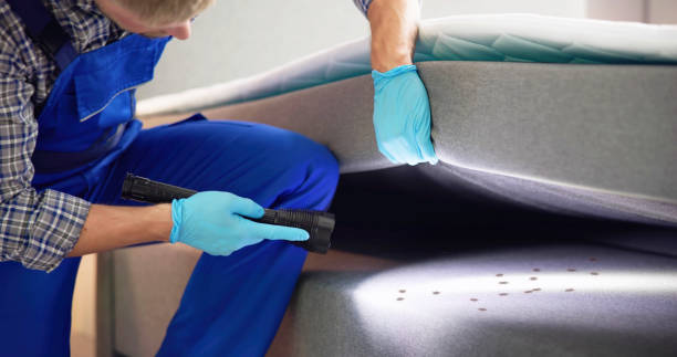 Best Affordable Pest Control Services  in Lee Acres, NM